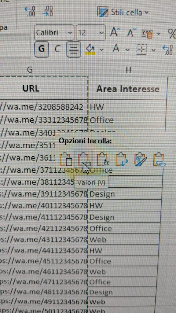 excel copia incolla valori